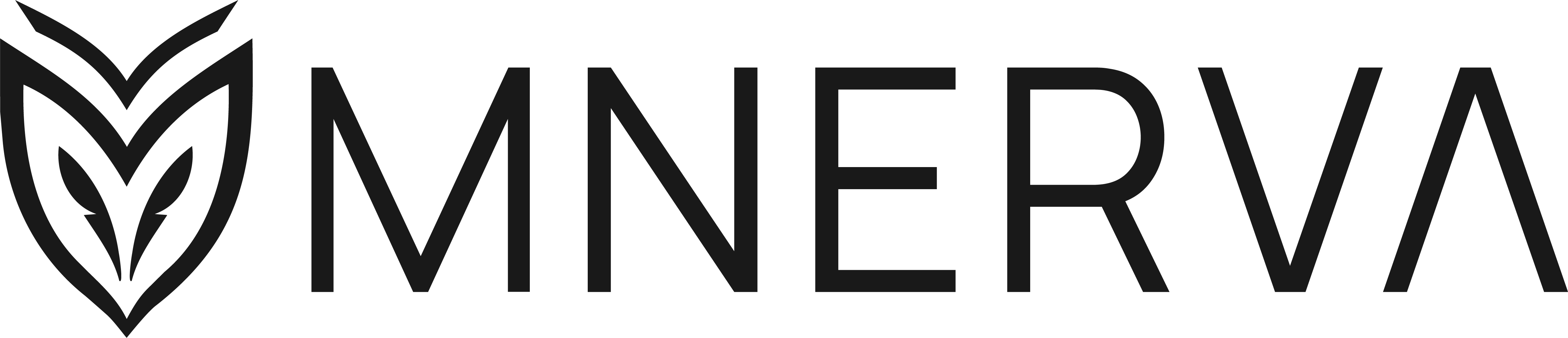 MNERVA
